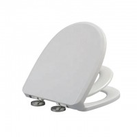 Hot Sale Plastic Soft Close Quick Release Hinges 2 in 1 Family Toilet Seat