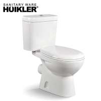 Water Saving Customizable Two Piece Toilet,Color Floor Mounted Toilet Commode