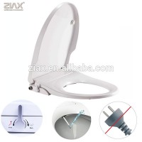 hygienic toilet seat with bidet seat