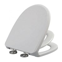 PP Soft Close Quick Release 2 in 1 Family Toilet Seat with Built in Child Seat