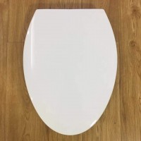 American standard PP soft close toilet seat